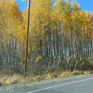 Meet your Posher, Alla